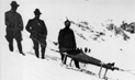 trasporto di un ferito su barella munita di sci, in disacesa verso il villaggio militare del Rifugio Garibaldi (2550m s.l.m.)